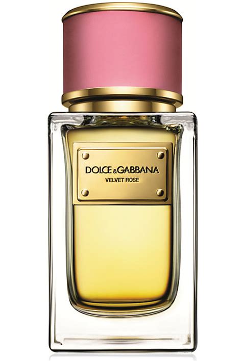 conjunto dolce gabbana feminino|dolce and gabbana unisex fragrance.